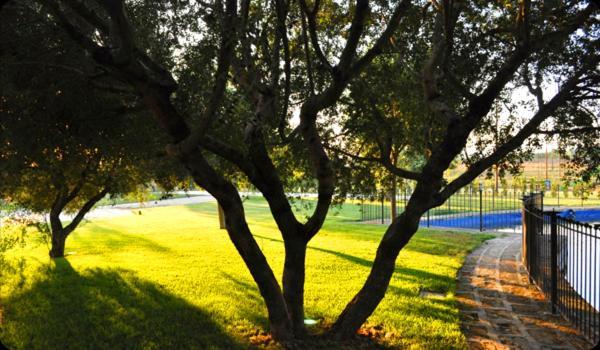Tenuta Santa Lucia Hotel San Giovanni Rotondo Kültér fotó